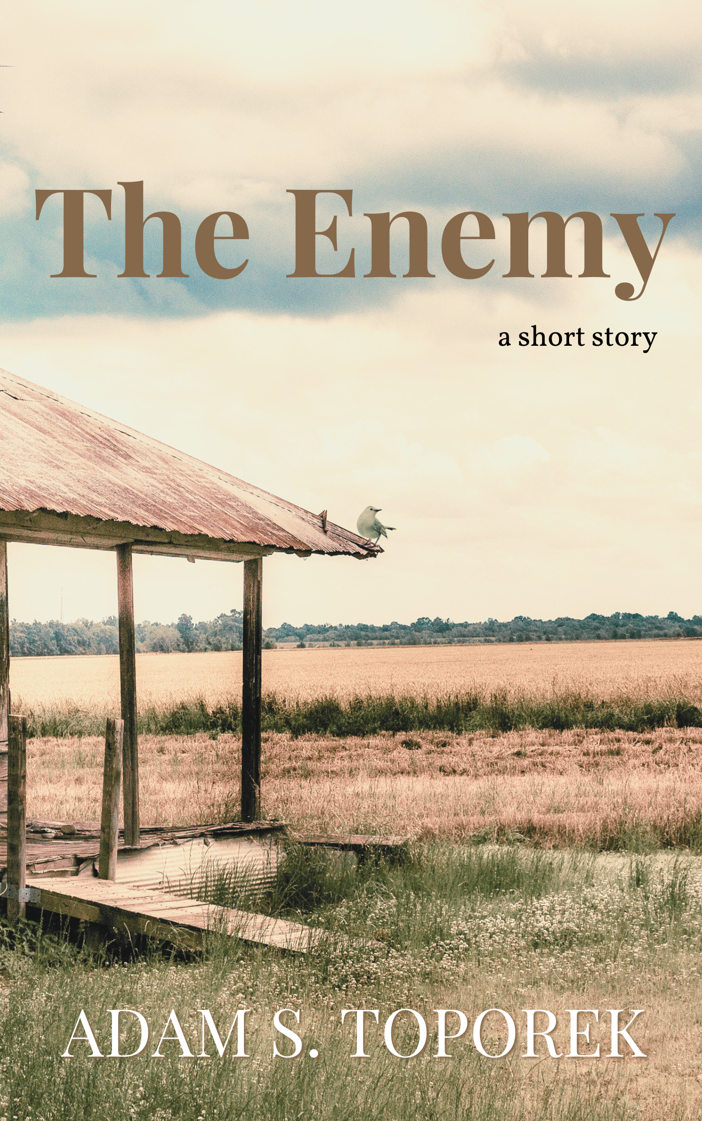 The Enemy a short story by Adam S. Toporek about race in Mississippi during World War II. Book cover.